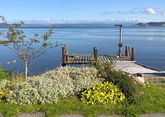Charming Sunlit Hideaway With Ocean View Homestay *